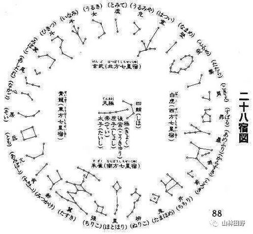 最新28宿详细步骤指南，从入门到精通的全方位指南