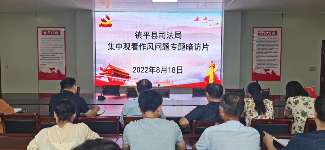 记者最新暗访揭秘，心灵与自然的奇妙旅程
