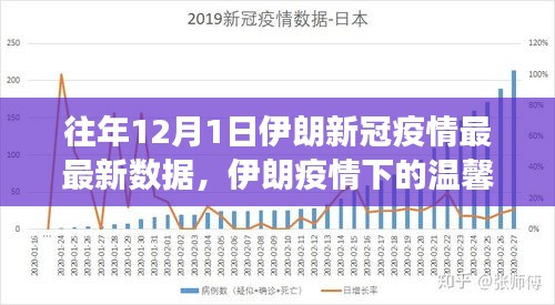 伊斯兰世界疫情最新概览与动态分析