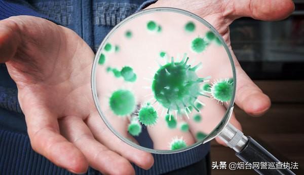 辽宁最新冠状,辽宁最新冠状病毒纪实，背景、进展与影响
