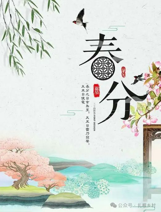 春分最新图片，传统与现代交融的美丽瞬间