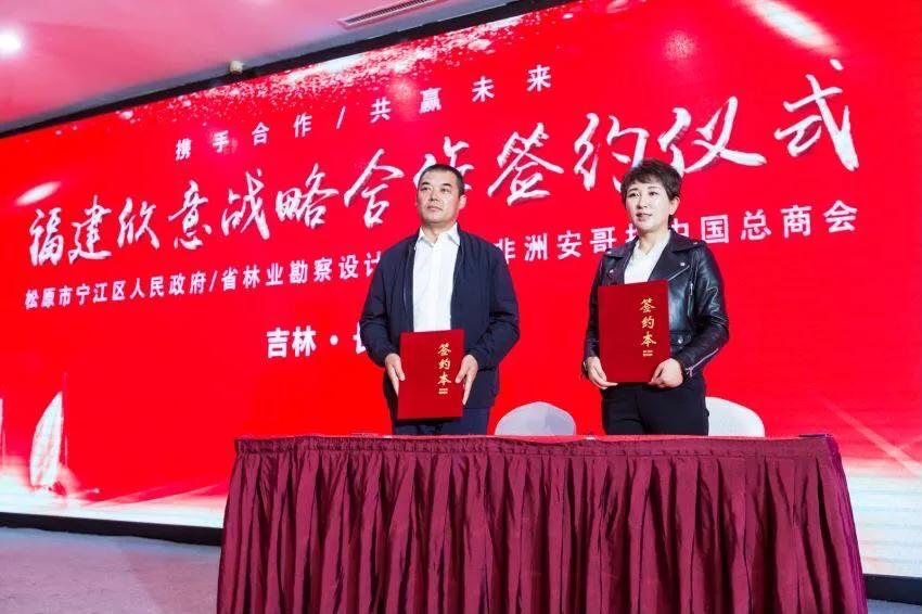 吉林最新科技引领未来生活新潮流，科技巅峰之作揭秘