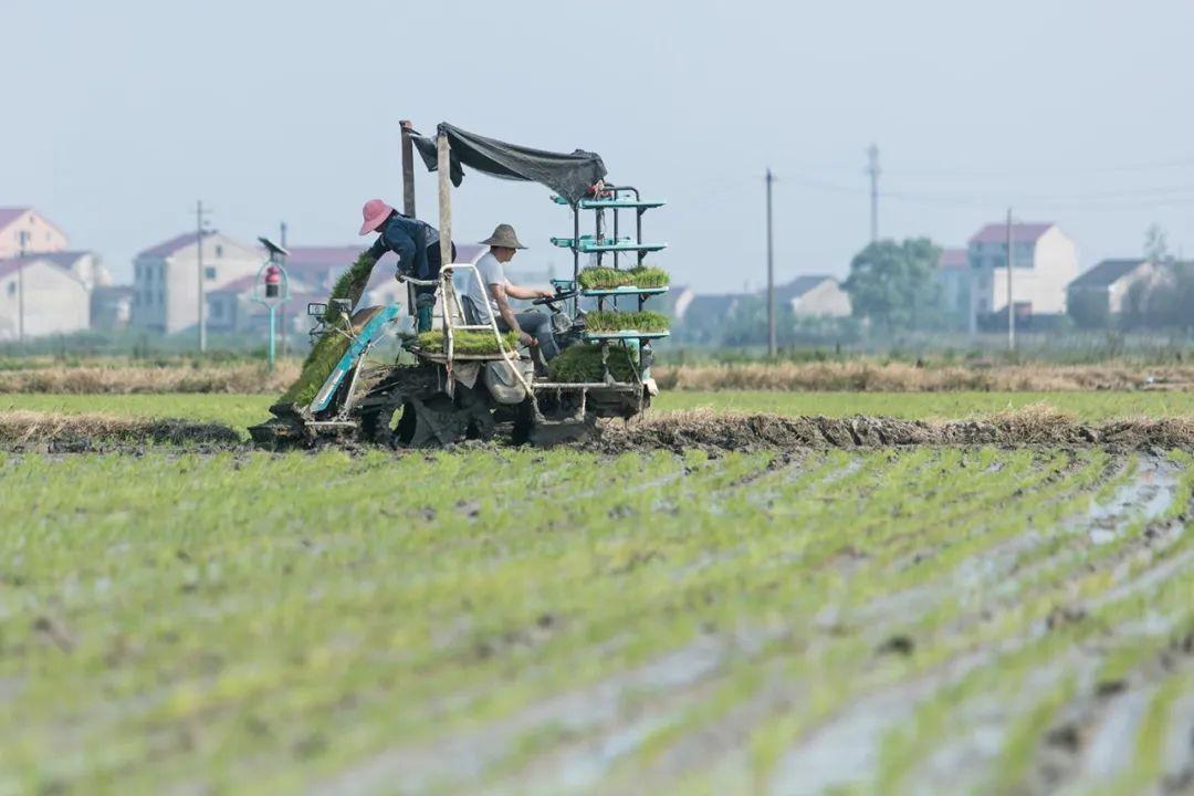 最新铁路新线，科技驰骋成就梦想之路