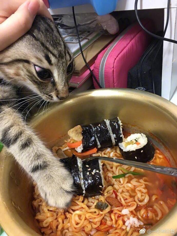 猫妹妹发现小巷中的隐秘美食天堂