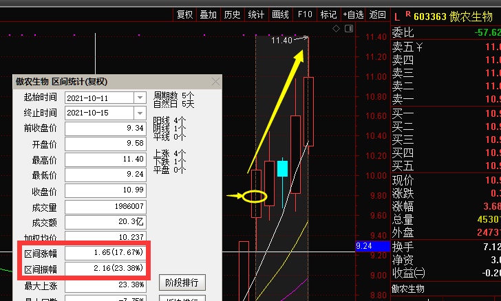 新中港最新动态解析与展望