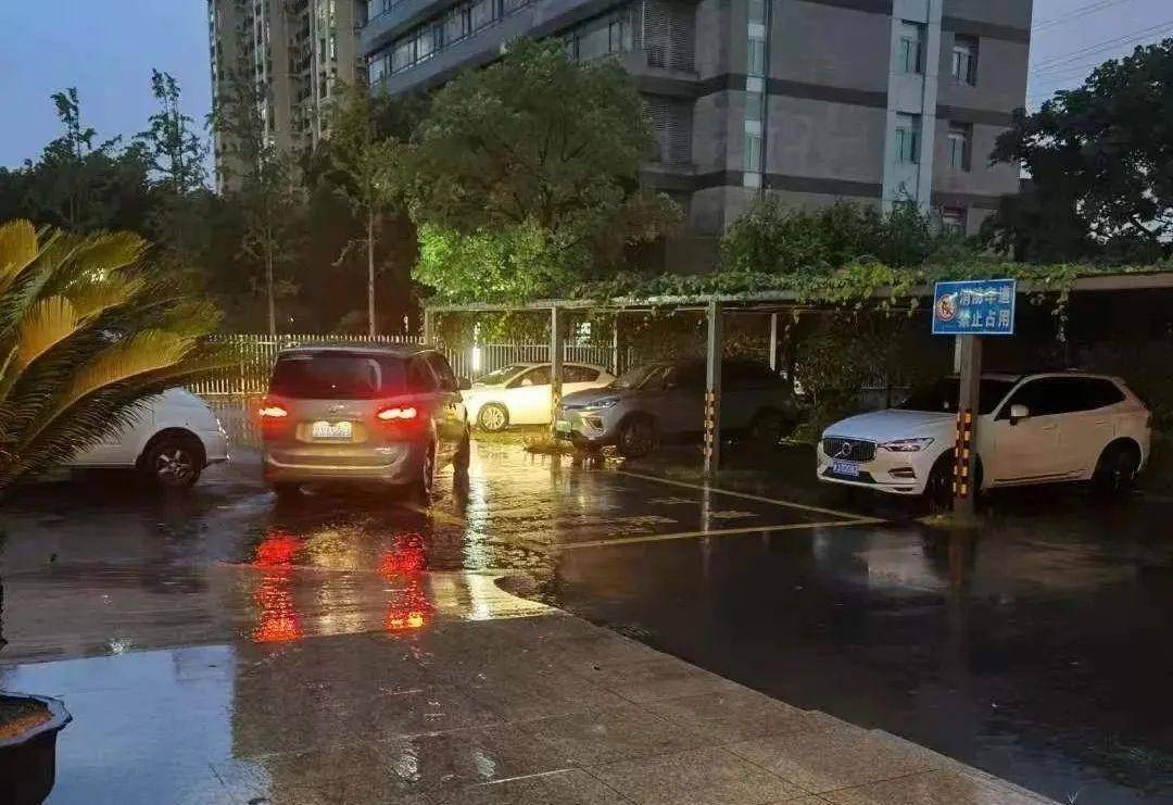 境外新闻热点，探索小巷深处的独特风味——一家隐藏版特色小店的探索之旅