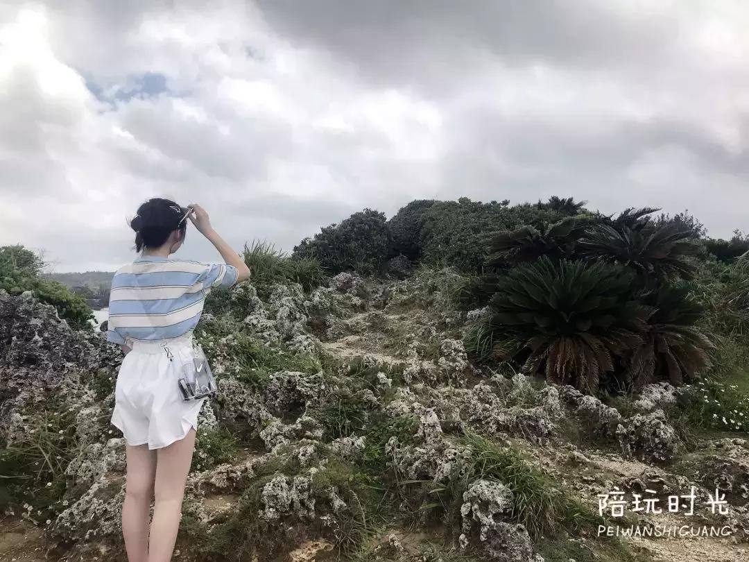全家最新优惠狂欢来袭，开启省钱生活之旅！