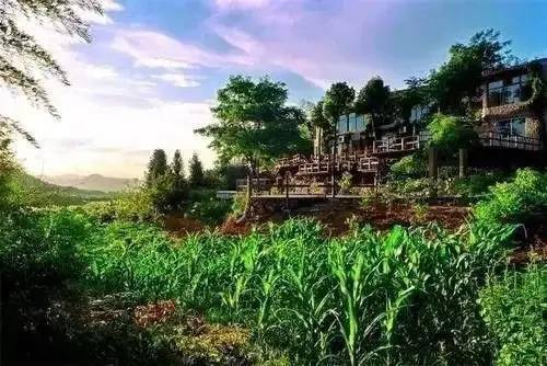 最新农业农村探索，自然美景之旅，寻找内心平静之旅