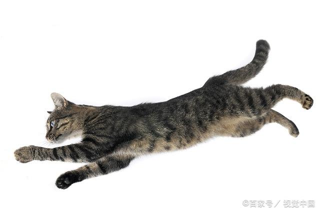 电子产品 第275页