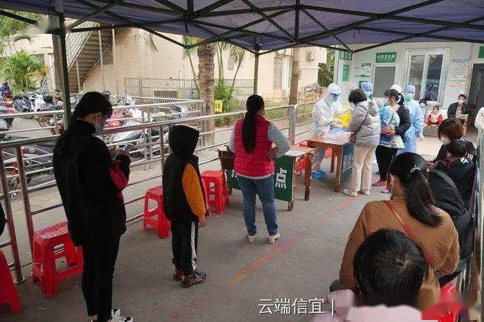 信宜最新肺炎，多方观点下的探讨与深度解析