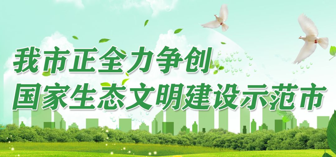 合肥最新通知，旅行达人出发探索自然美景的邀请函