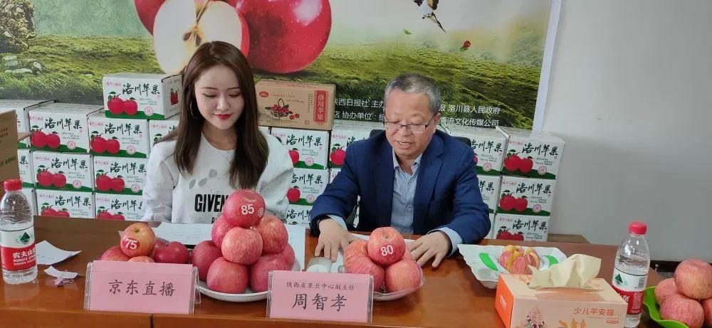 杭州律动电子科技 第272页