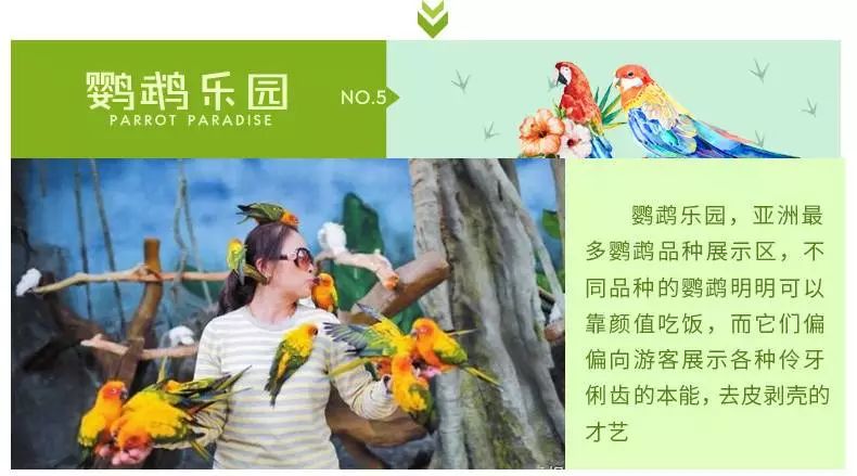 杭州律动电子科技 第266页