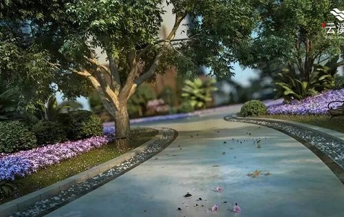 云溪湾最新动态更新，最新进展揭秘