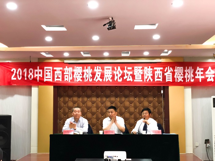 最新陕西省财政厅处长,最新陕西省财政厅处长带你探索小巷中的隐藏美食宝藏