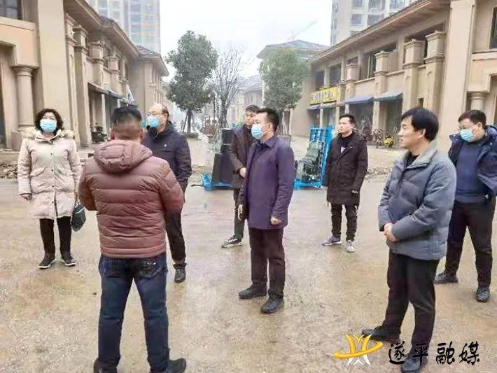 遂平水晶城最新动态与相关论述揭秘
