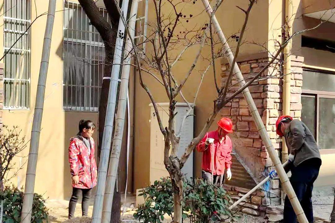 江阴顾山最新出租房信息汇总大全
