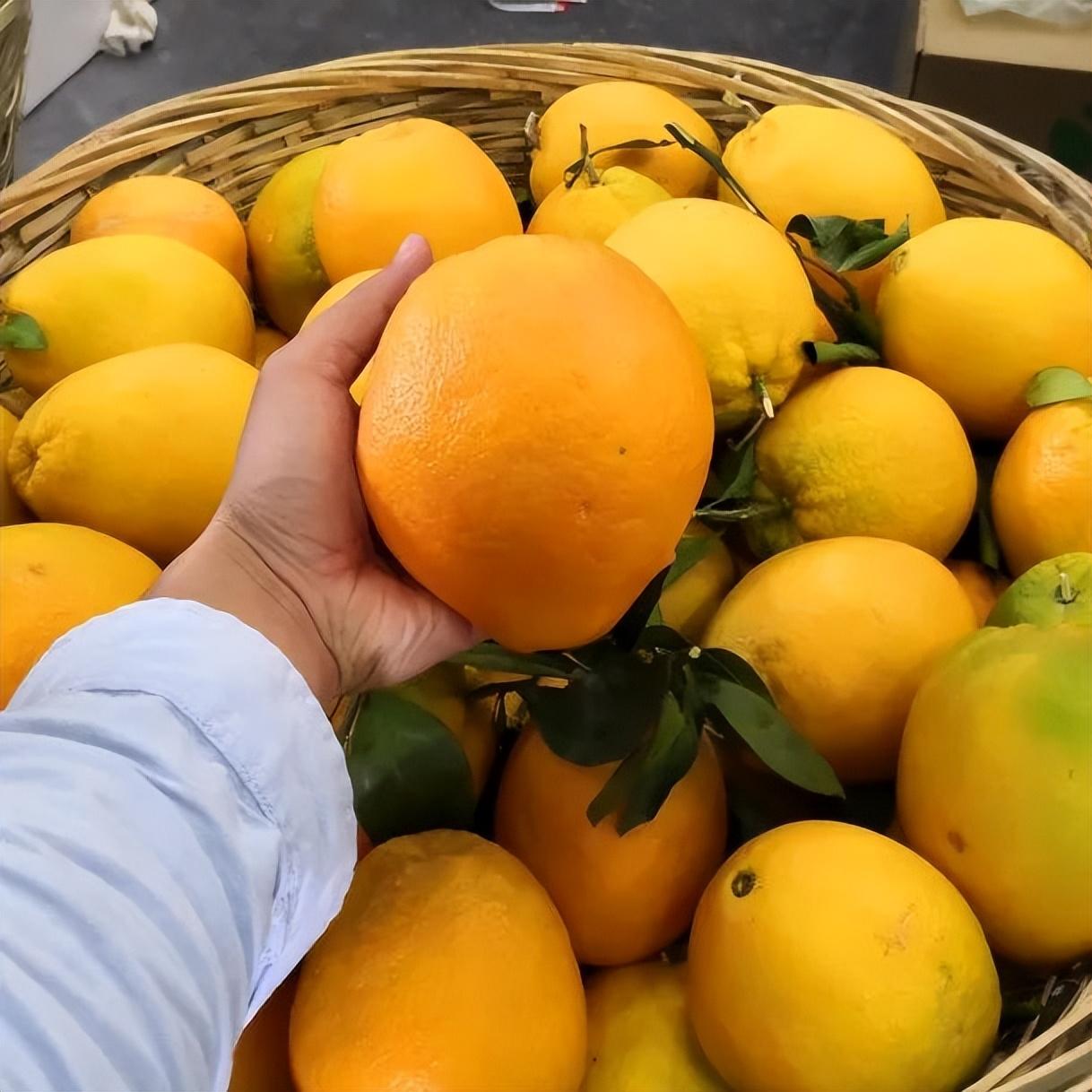 2023年最新种植牙价格表全面解析，深入了解种植牙费用构成！