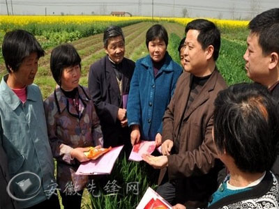小红书揭秘，安庆市长风乡最新动态新闻速递✨