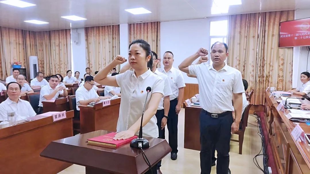 武宣县最新官员任免解读与分析
