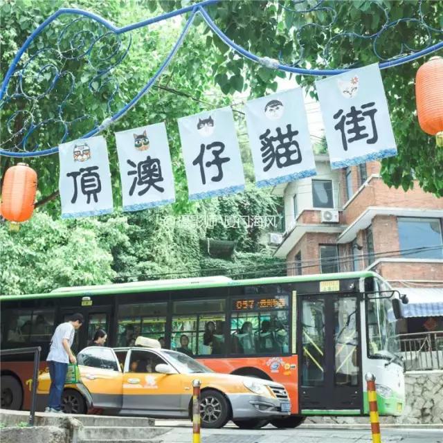 湖南澳鑫诈骗最新动态揭秘，小巷深处的神秘小店陷阱