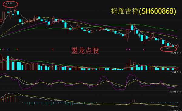 梅雁吉祥股票最新动态及行情分析