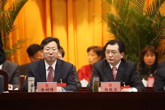 杨敬农妻子的最新生活动态，点滴温暖与欢笑。