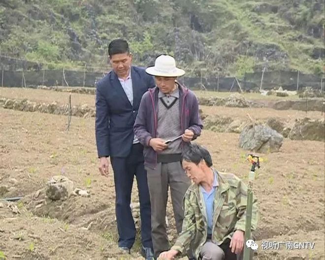 广南县黄先泰的最新动态与日常故事概述