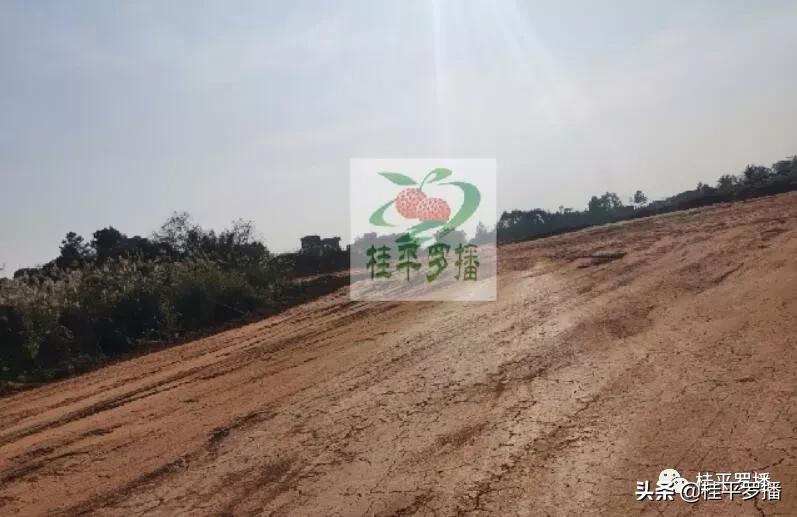 荔玉高速公路最新建设进展报告