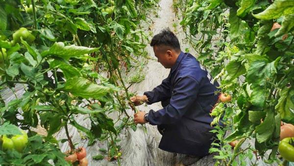 泗县汴河国际，国际合作典范与区域发展引擎的最新动态
