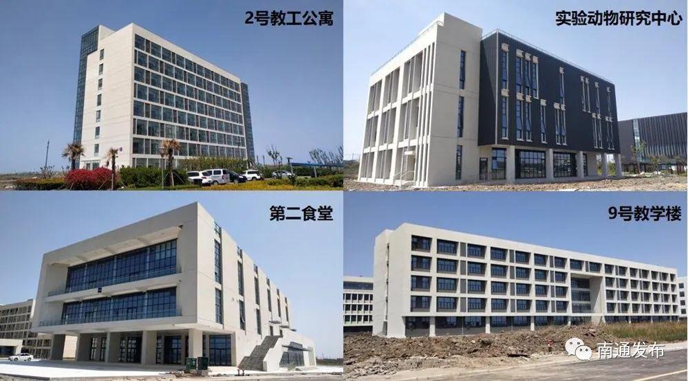 南通网约车最新动态，小巷深处的独特之旅