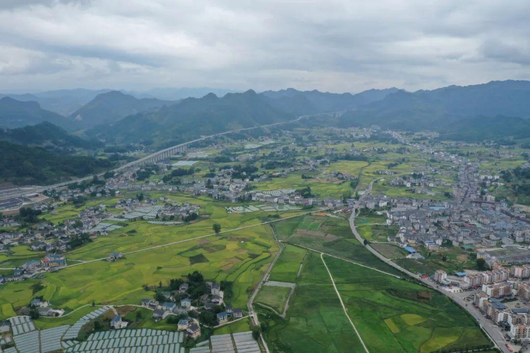 杭州律动电子科技 第221页