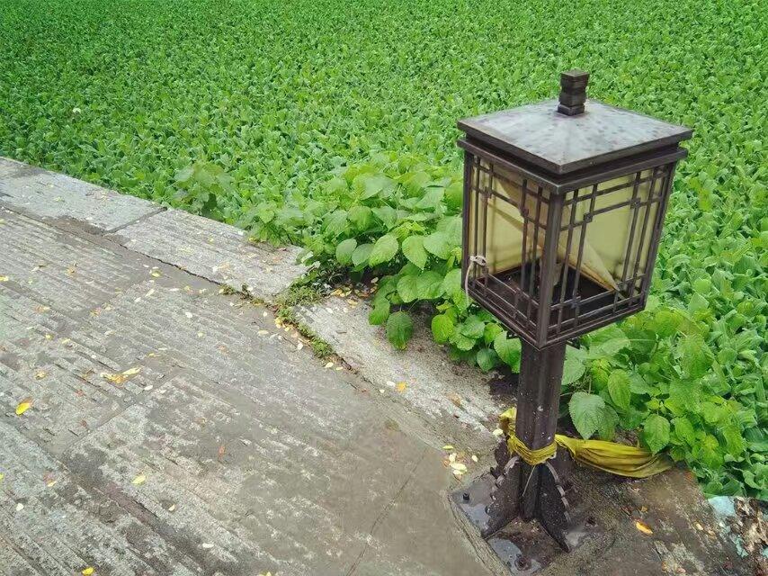 美国最新股情揭秘，小巷深处的隐藏宝藏——特色小店的股市奇遇