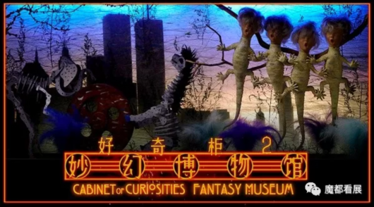 猛犸图传最新动态，回顾历史，展望未来