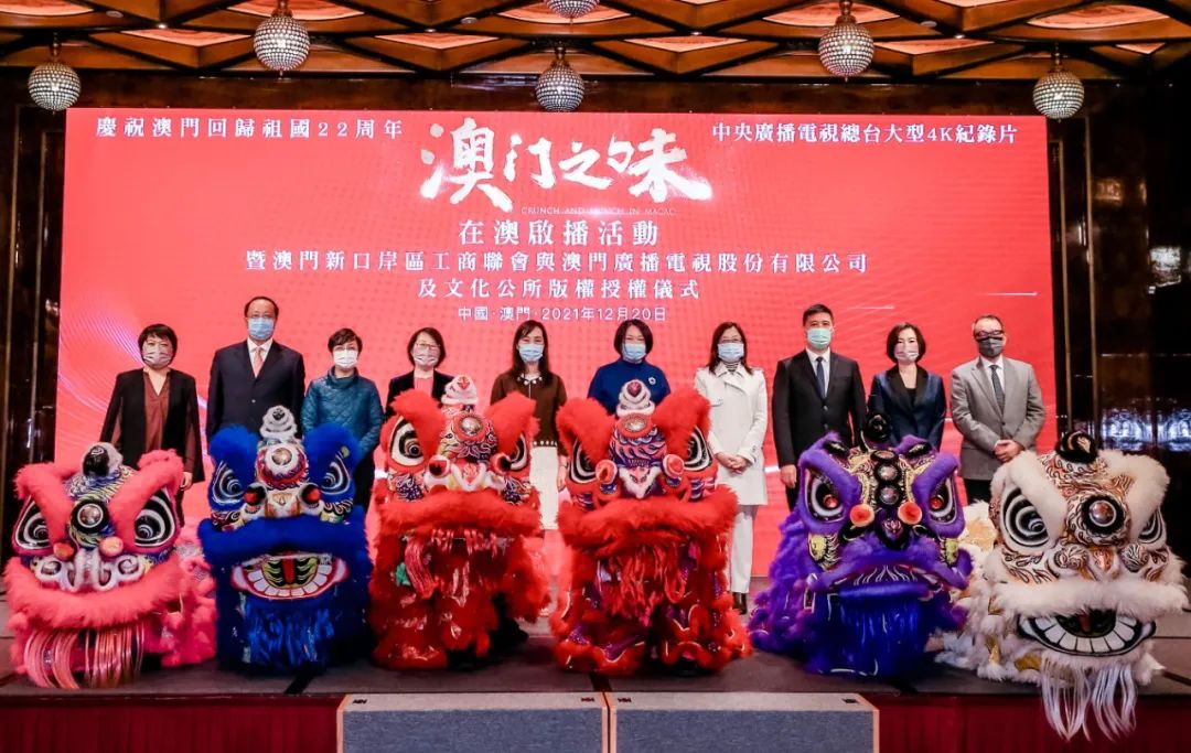 澳门四虎最新动态揭秘，聚焦澳门发展热点与最新进展