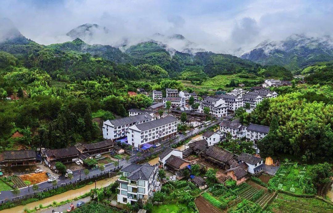 新密岳村最新探索，自然美景的治愈之旅