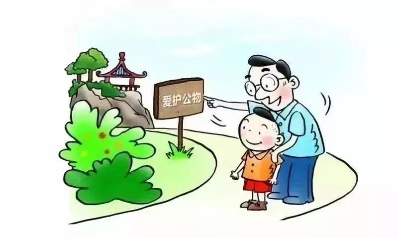 成都肺炎最新动态，奇遇与友情的暖心传递