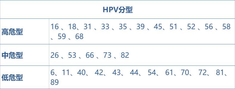 HPV最新分型及其观点论述，深入理解人乳头瘤病毒分类的重要性