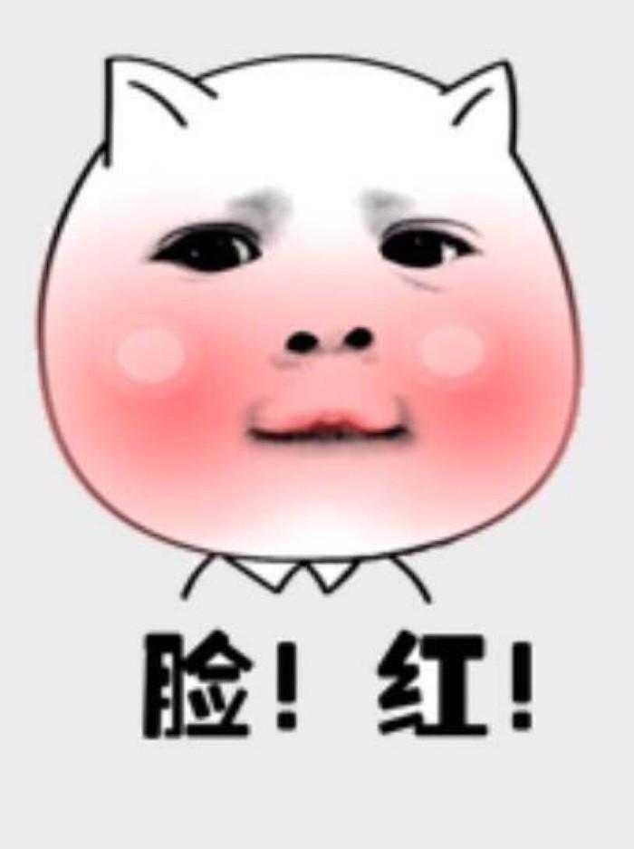 西电马最新操作指南，详细步骤解析