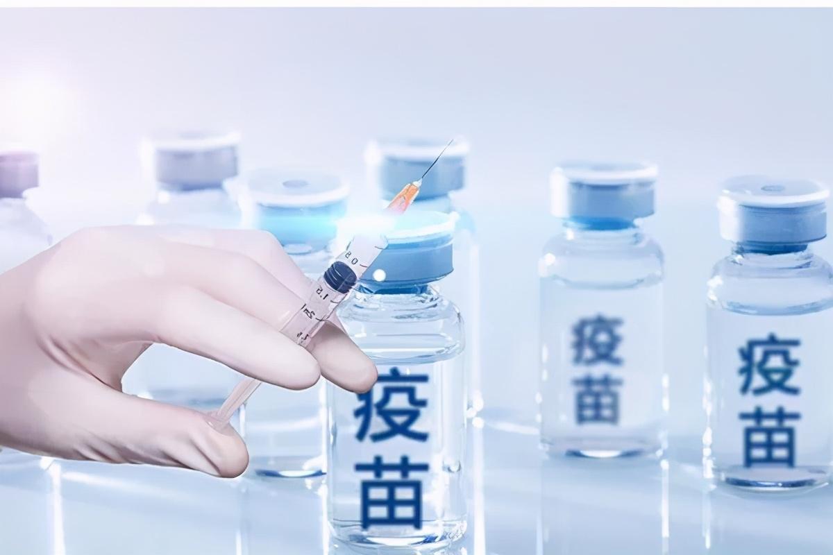 广州疫苗最新通知及其背后的温情故事概述