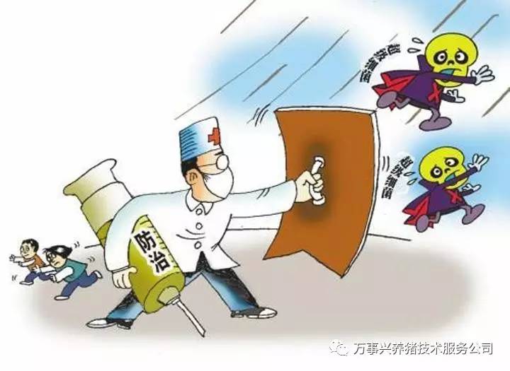 信阳最新疫情全面关注与应对措施
