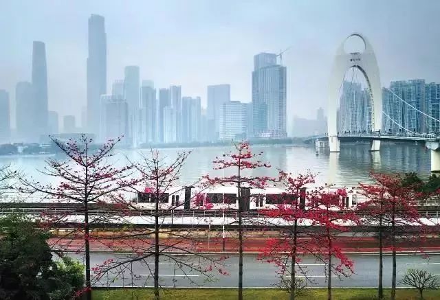 广州十三行最新，自然美景鼓舞之旅探索记