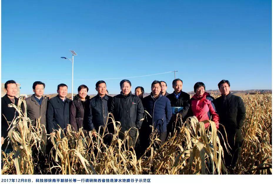 科技革新助力农业，最新地膜机引领农业新时代