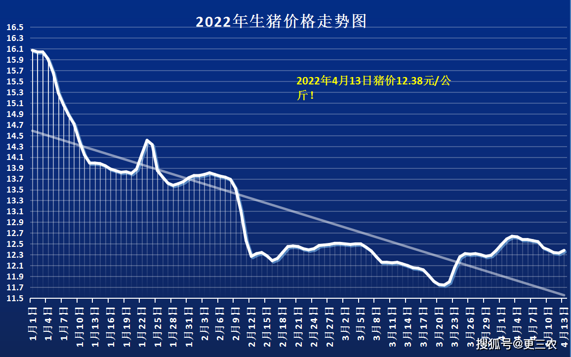 叶县最新猪价详解，获取与理解猪价信息指南