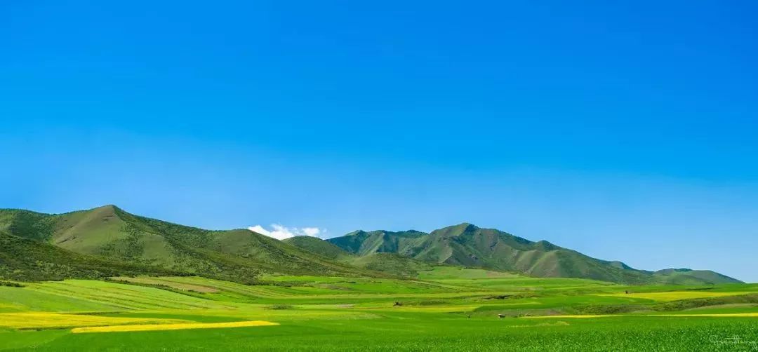 张掖吧贴吧，最新消息汇聚地