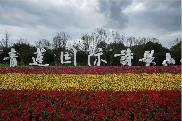 江油厚坝镇，科技引领重塑生活新体验