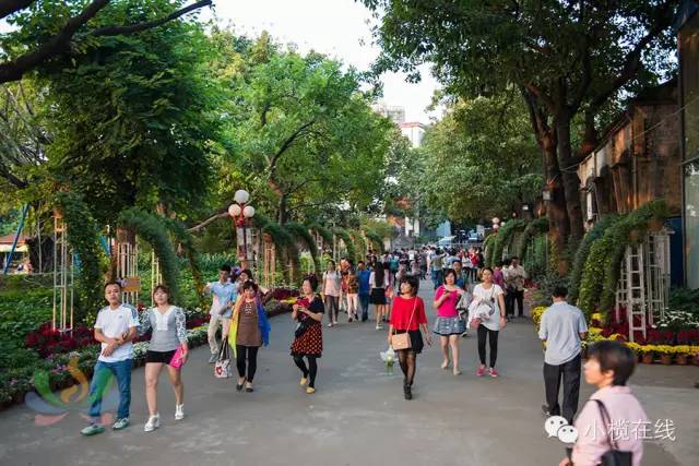 佛山张槎最新招聘信息揭秘，小巷中的独特风味探索之旅