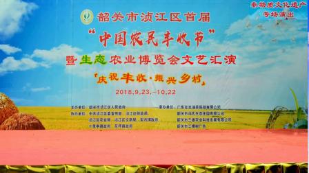 三字经朗读比赛视频，友谊与朗读的交融之美