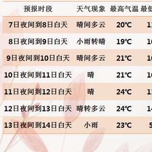 多媒体技术 第241页