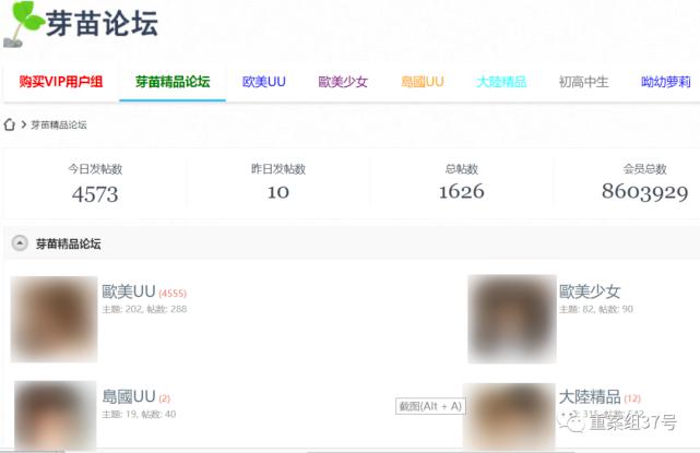 遵守法律与道德准则